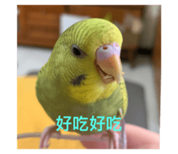 549275143