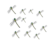 549320407