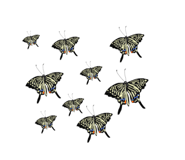 549320408