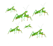 549320412