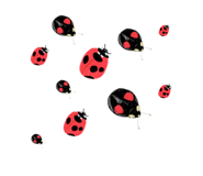 549320417