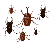 549320418