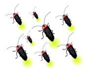 549320419