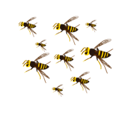 549320422