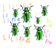 549320441