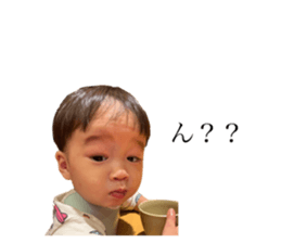 549335988