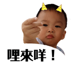 549381137