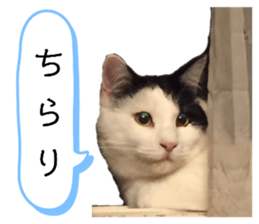 549419913
