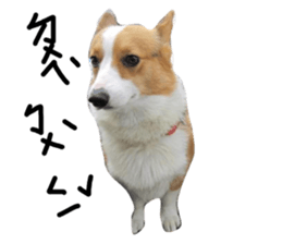 549444503