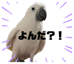 549467941