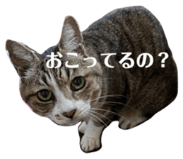 549490525