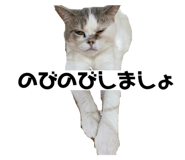 549538105