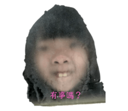 549626630