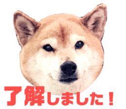 549632136