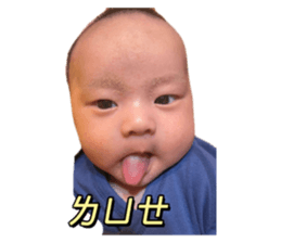 549636387