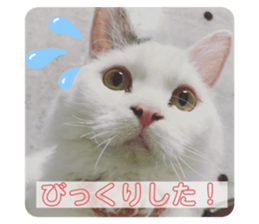 549637027