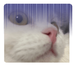549637050