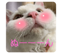 549637057