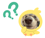 549638160