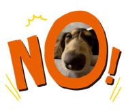 549638163