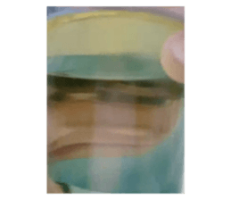 549642034