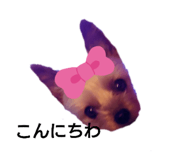 549655088
