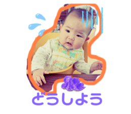 549693313