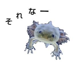 549706998