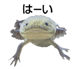 549707004