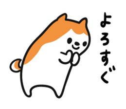 5497080