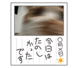 549742768