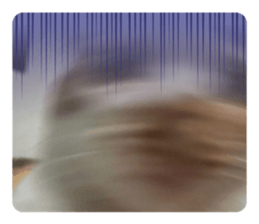 549742771