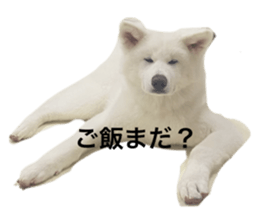 549743222