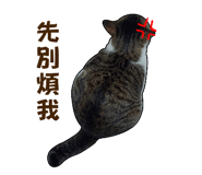 549749201