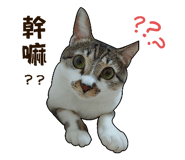 549749205