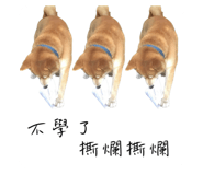 549749391