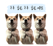 549749394