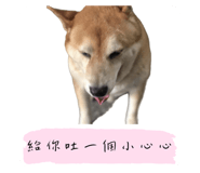 549749404