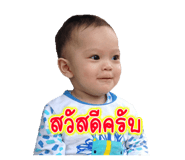 54976198