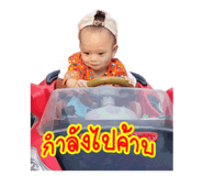 54976204