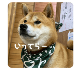 549779100