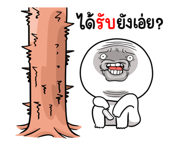 ลายที่ 15