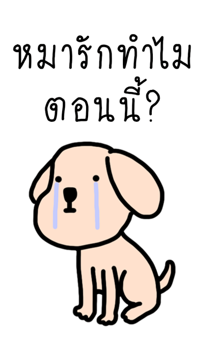 ลายที่ 17