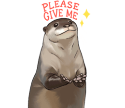 5498593