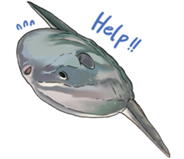 5498615