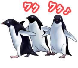5498618