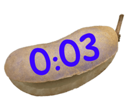549878935