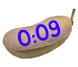 549878937