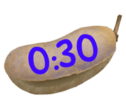 549878944