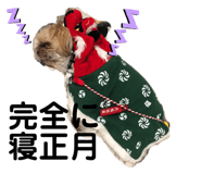 549903581